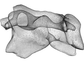 Vertebra 3D Model preview