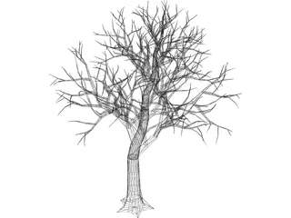 Tree 3D Model preview