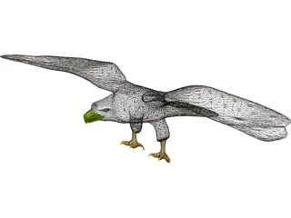 Eagle Bald 3D Model preview