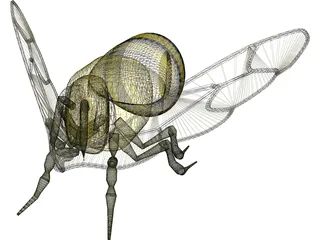 Bee 3D Model preview