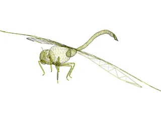 Dragon Fly 3D Model preview