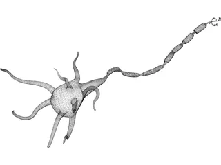 Neuron 3D Model preview