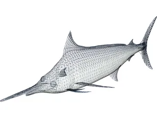 Marlin Blue 3D Model preview