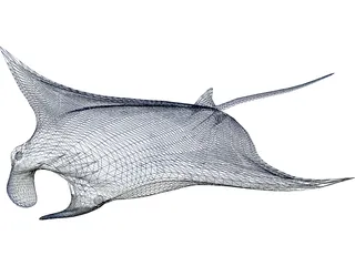 Manta Ray 3D Model preview