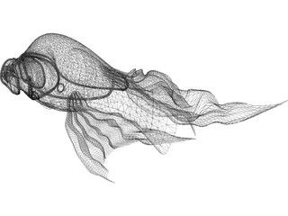 Exotic Fish 3D Model preview