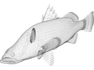 Barramundi 3D Model preview