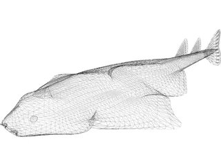 Angel Shark 3D Model preview