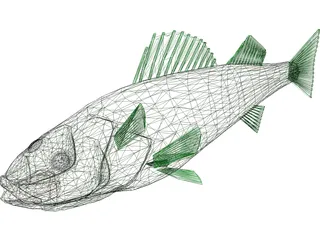Walleye 3D Model preview
