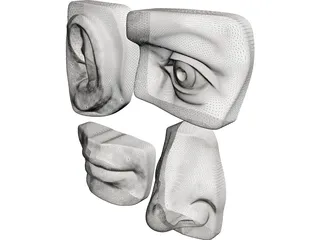 Michelangelo 3D Model preview