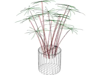 Cyperus Alternifolius 3D Model preview