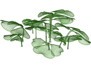 Clover Patch 3D Model preview