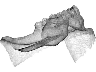 Teeth 3D Scanned 3D Model preview