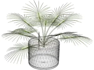 House Plant 3D Model preview