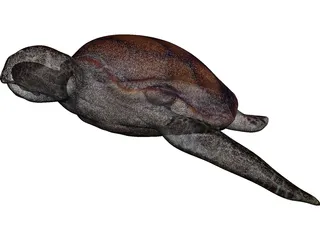 Turtle 3D Model preview
