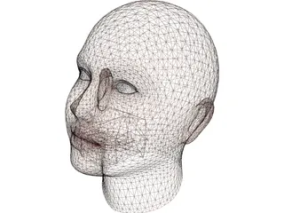 Woman Head 3D Model preview