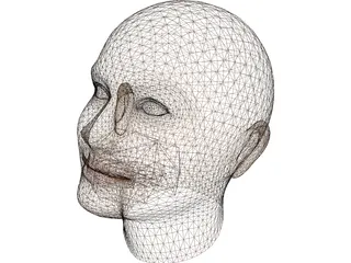 Woman Head 3D Model preview