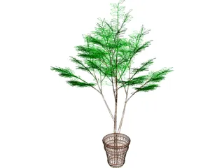 Potted Tree 3D Model preview