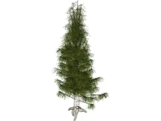 Needle Tree 3D Model preview