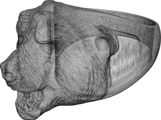 Ring Bear 3D Model preview