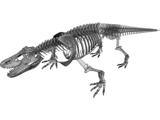 Komodo Dragon Skeleton 3D Model preview
