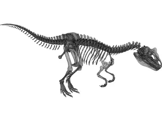 Allosaurus Skeleton 3D Model preview