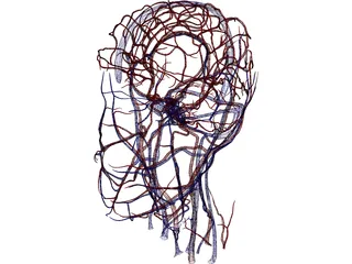 Systemic Circulation of Head 3D Model preview
