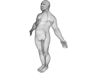 Male Body 3D Model preview