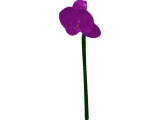 Orchid Flower 3D Model preview
