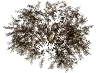 Onyx Bush 3D Model preview