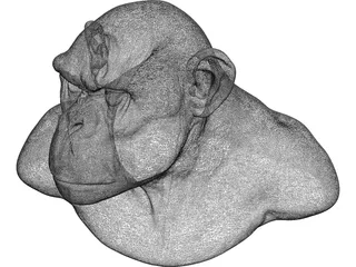 Chimp Head 3D Model preview