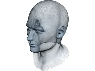Human Face 3D Model preview