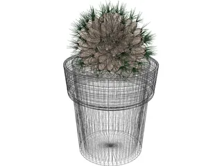 Potted Cactus Plant 3D Model preview