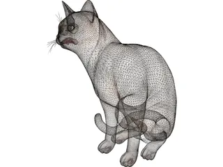 Cat Sitting Red Haired 3D Model preview