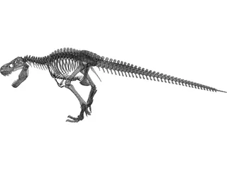 T-Rex Skeleton 3D Model preview