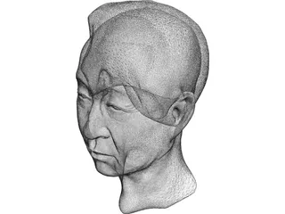 Old Chinaman Head 3D Model preview