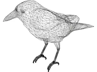 Bangor Crow 3D Model preview