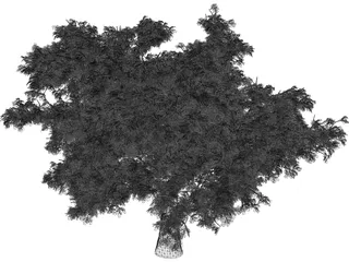 Quercus 3D Model preview