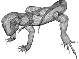 Lizard 3D Model preview