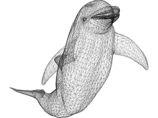 Dolphin 3D Model preview