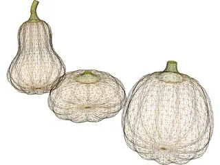 Squash 3D Model preview