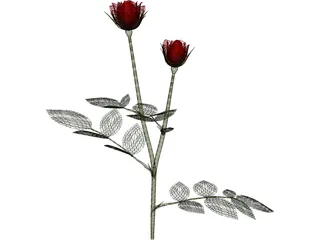 Red Rose 3D Model preview