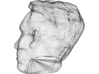 Head Male 3D Model preview