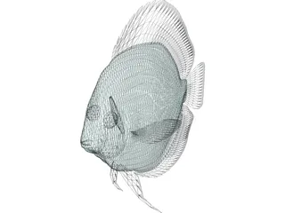 Discus 3D Model preview