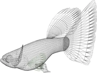 Guppy 3D Model preview