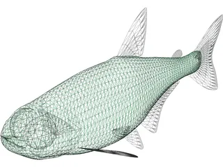 Neon Tetra 3D Model preview