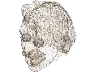 Head Male 3D Model preview