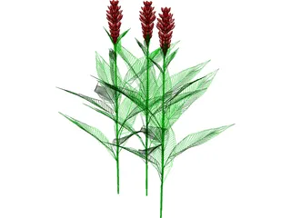 Flower 3D Model preview