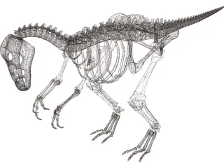 Dinosaur Skeleton 3D Model preview