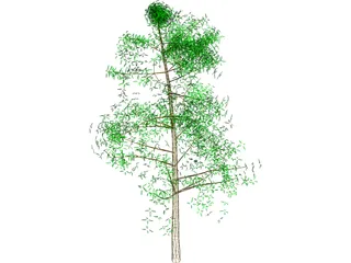 Tree Big 3D Model preview