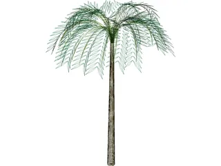Tree Palm Tropical 3D Model preview